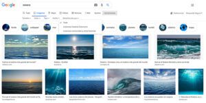 Filtros de imágenes según licencias de uso
