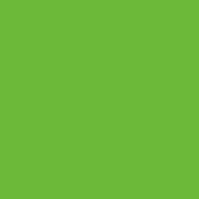 PoliFlex Neon Green