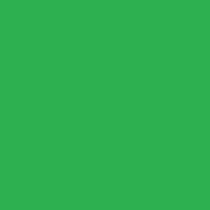 Vinilo Mactac MACal 8248-29 Pro Green Mate