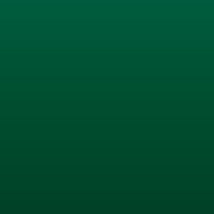 Vinilo Avery 800 Verde Bosque (811 Forest Green)