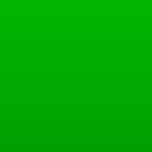 Vinilo Avery 800 Verde Hierba (813 Grass Green)