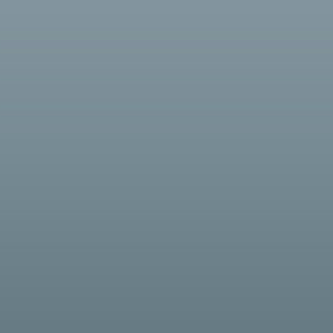 Vinilo Avery 800 Gris Medio (825 Medium Grey)