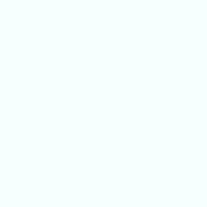 Vinilo Avery 800 Blanco (830-01 White)