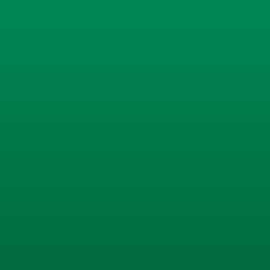 Vinilo Avery 800 Verde Kelly (834 Kelly Green)