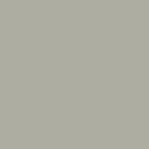 Vinilo Avery 800 Plata Metalizado (835-02 Silver Metallic)