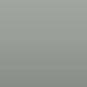 Vinilo Avery 800 Gris Paloma (844 Dove Grey)