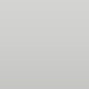 Vinilo Avery 800 Gris Claro (859 Light Grey)