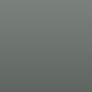 Vinilo Avery 800 Gris Nube (885 Cloud Grey)