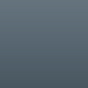 Vinilo Avery 800 Gris Claro Metalizado (892 Light Grey Metallic)
