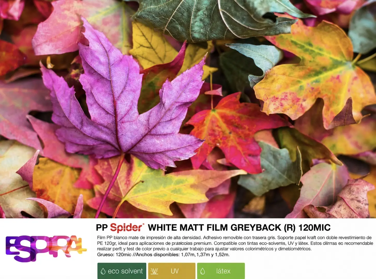 Vinilo sin PVC Spider blanco mate trasera blanca (P) – 120 micras