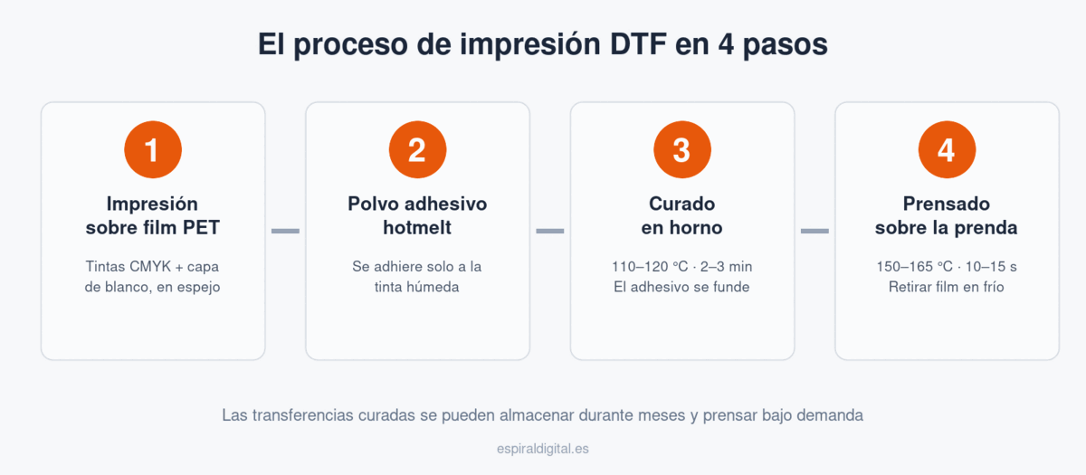 Infografía del proceso de impresión DTF en 4 pasos: impresión sobre film PET, polvo adhesivo hotmelt, curado en horno y prensado sobre la prenda