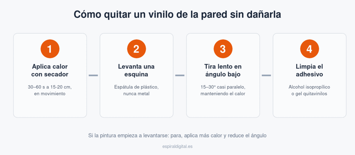 Infografía con los 4 pasos para quitar un vinilo de la pared sin dañarla: aplicar calor con secador, levantar una esquina, tirar lento en ángulo bajo y limpiar el adhesivo